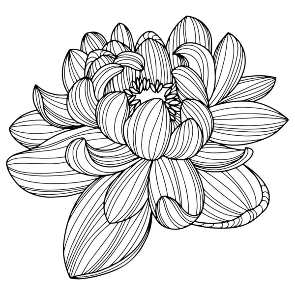 Flower Isolated White Hand Drawn Sketch Vector Flower Illustration Eps — Vector de stock