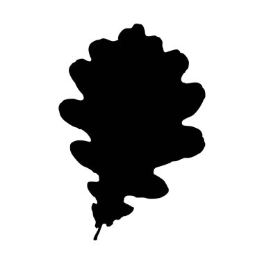  Vektör yaprağı. Grafik çizimi beyaz arkaplanda izole edildi. 