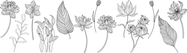 Fleurs Abstraites Isolées Sur Blanc Illustration Vectorielle Dessinée Main Eps — Image vectorielle