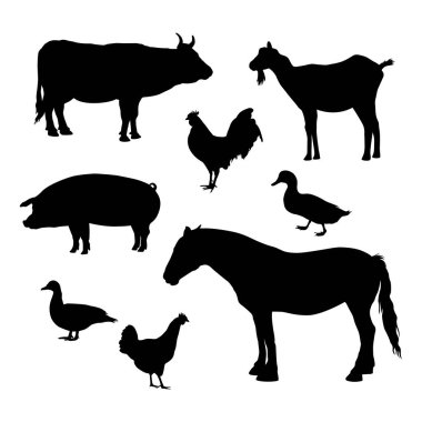 Çiftlik hayvanları siluetleri. Evcil sığır koleksiyonu. Vektör illüstrasyon seti beyaz üzerine izole edildi.