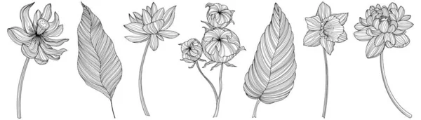 Flores Abstratas Isoladas Sobre Branco Ilustração Vetorial Linha Desenhada Mão — Vetor de Stock