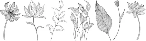 Kivonatos Virágok Elszigetelve Fehér Kézzel Rajzolt Vonalvektor Illusztráció Rész — Stock Vector