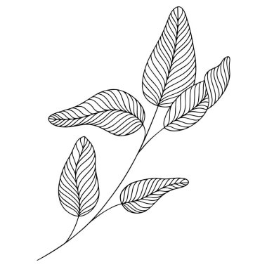 Soyut yaprak tasviri. Çizgi vektör sanatı