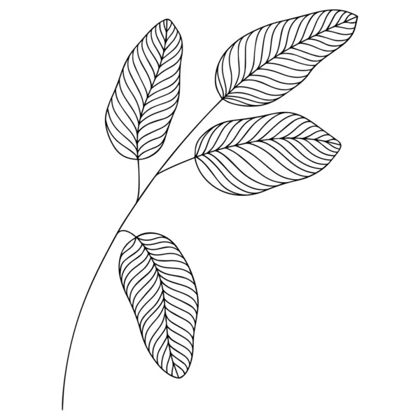 Illustration Abstract Leaf Line Vector Art — Stockvektor