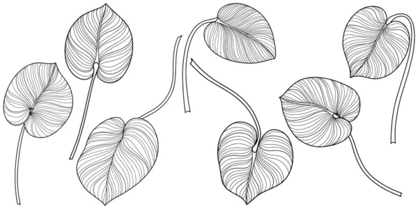 Hojas Tropicales Aisladas Blanco Ilustración Vectorial Dibujada Mano — Archivo Imágenes Vectoriales