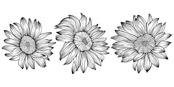 Ilustração Flores Abstratas Arte Vetorial Linha — Vetor de Stock