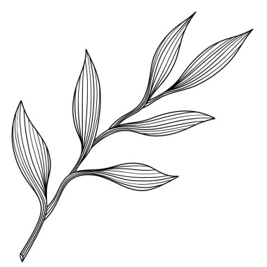 Soyut yaprağın görüntüsü. Çizgi vektör sanatı