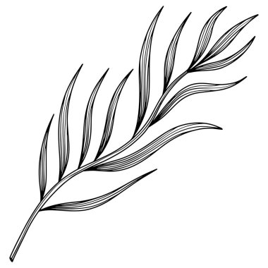 Soyut yaprağın görüntüsü. Çizgi vektör sanatı