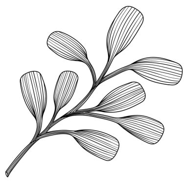 Soyut yaprağın görüntüsü. Çizgi vektör sanatı