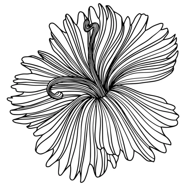 抽象花朵的图解 线条艺术 Eps — 图库矢量图片
