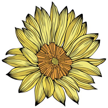 Soyut çiçeğin tasviri. Çizgi çalışması. Eps 10