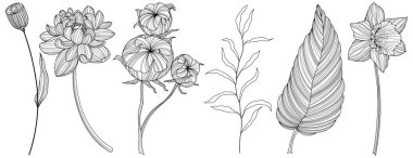 Beyaza izole edilmiş soyut çiçekler. El çizimi vektör çizimi. Eps 10