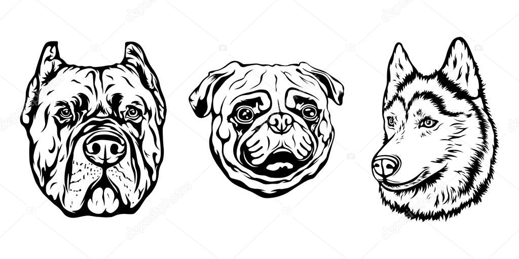 Hand drawn face of dogs. Black and white vector illustration mascot art