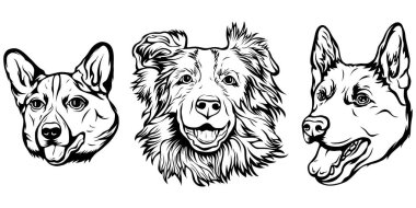 Köpeklerin el çizimi yüzü. Siyah ve beyaz vektör illüstrasyon maskot sanatı
