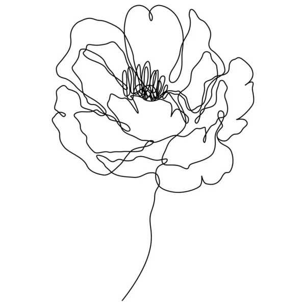 Peony Flower Isolated Vector Illustration Vector Wildflower Background Abstract Botanical — Stok Vektör
