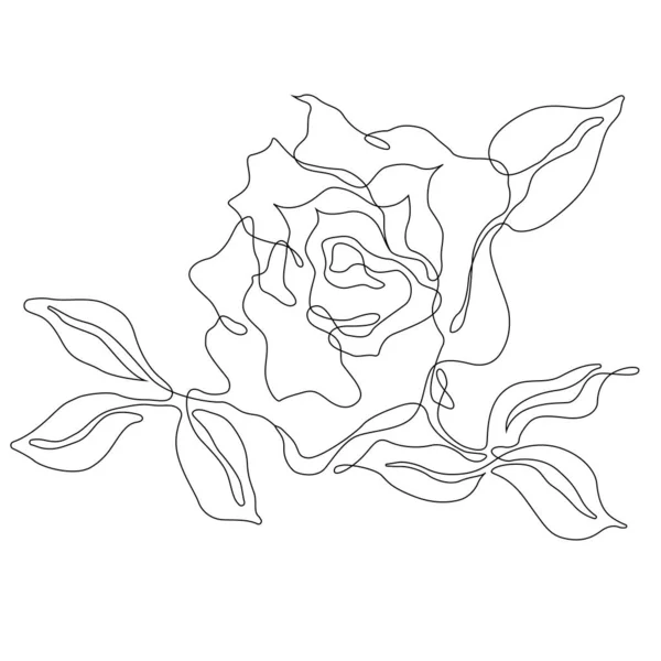 Rose Flower Outline Vector Set Hand Drawn Sketches Line Ink — Stockvektor