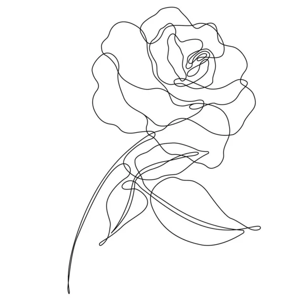 Rose Flower Outline Vector Set Hand Drawn Sketches Line Ink —  Vetores de Stock