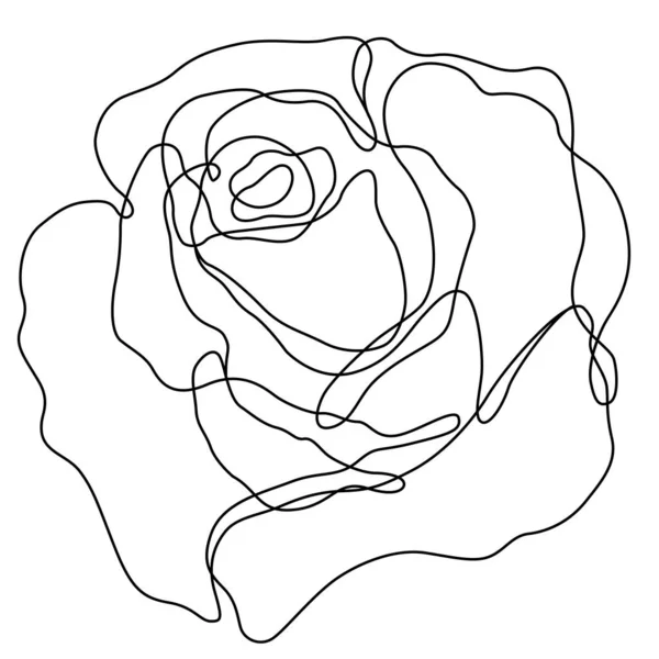 Rose Flower Outline Vector Set Hand Drawn Sketches Line Ink — Stockvektor