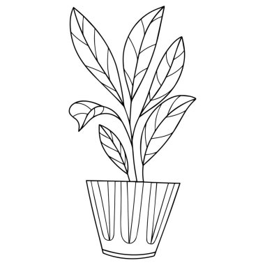 Hand drawn doodle. Houseplant vector. Interior plant in pot.