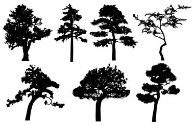 Vector silhouette of trees. Isolated eps 10.