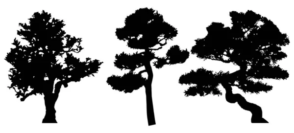 Vector Silhouette Trees Isolated Eps — Archivo Imágenes Vectoriales
