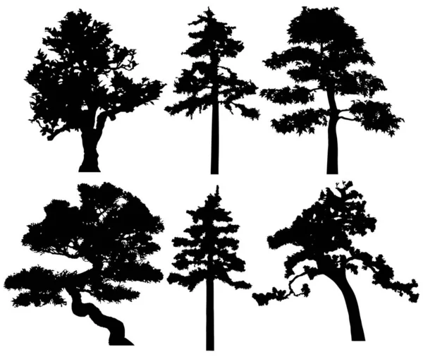 Vector Silhouette Trees Isolated Eps — Stok Vektör