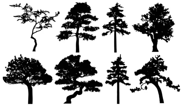Vector silhouette of trees. Isolated eps 10.