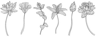 Beyaza izole edilmiş soyut çiçekler. El çizimi vektör çizimi. Eps 10