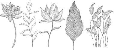 Beyaza izole edilmiş soyut çiçekler. El çizimi vektör çizimi. Eps 10