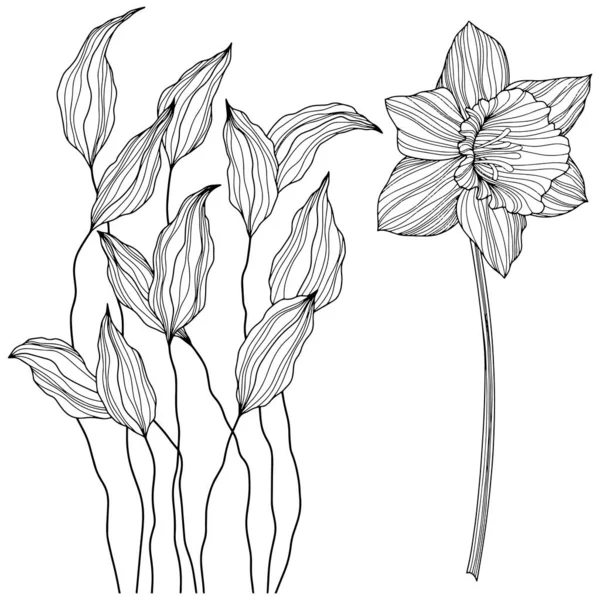 Flores Abstratas Isoladas Sobre Branco Ilustração Vetorial Linha Desenhada Mão — Vetor de Stock