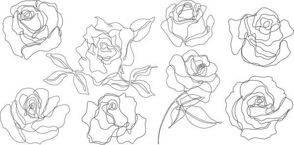 Rose Flower Outline Vector Set Hand Drawn Sketches Line Ink — Image vectorielle