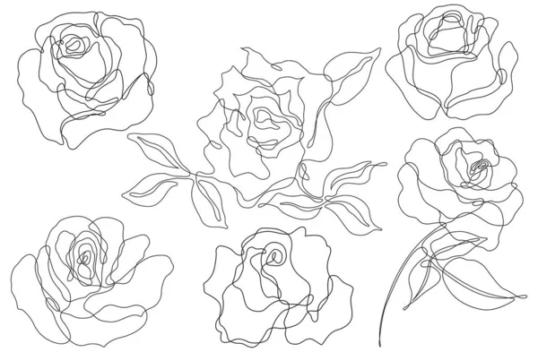 Rose Flower Outline Vector Set Hand Drawn Sketches Line Ink — Stok Vektör