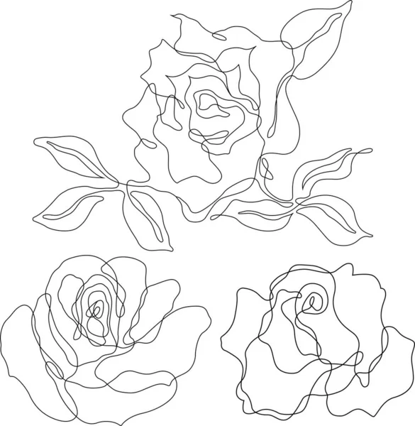 Rose Flower Outline Vector Set Hand Drawn Sketches Line Ink — Stok Vektör