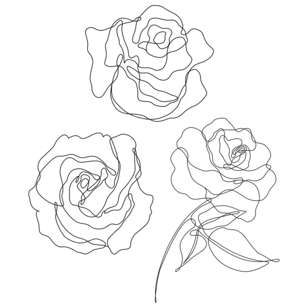 Rose Flower Outline Vector Set Hand Drawn Sketches Line Ink — Stockvector