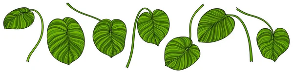 Φύλλα Απομονώνονται Στο Λευκό Τροπικά Φύλλα Χειροκίνητη Διανυσματική Απεικόνιση — Διανυσματικό Αρχείο