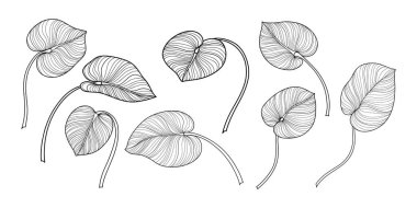 Beyazın üstünde tropik yapraklar. El çizimi vektör illüstrasyonu