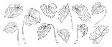 Beyazın üstünde tropik yapraklar. El çizimi vektör illüstrasyonu