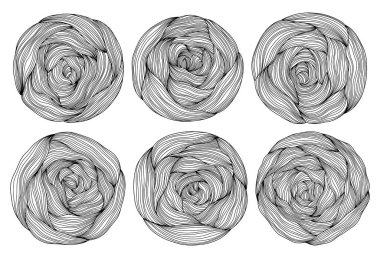 Abstract tree rings. Vector topographic map concept. Seamless background. Thin black lines on white. rose flover