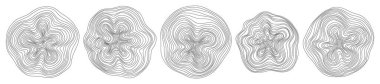 Soyut ağaç halkaları. Vektör topografik harita konsepti. Kusursuz bir geçmişi var. Beyaz üzerine ince siyah çizgiler