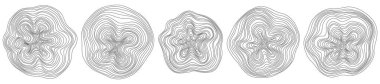 Soyut ağaç halkaları. Vektör topografik harita konsepti. Kusursuz bir geçmişi var. Beyaz üzerine ince siyah çizgiler