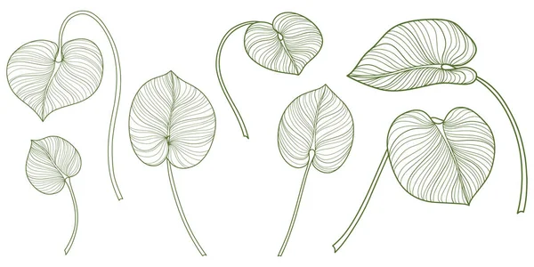 Feuilles Tropicales Isolées Sur Blanc Illustration Vectorielle Dessinée Main — Image vectorielle