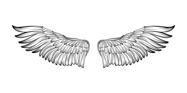 Kuş kanatları vektör illüstrasyon dövme tarzı. El çizimi tasarım ögesi.