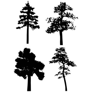  Vector silhouette of trees. Isolated eps 10.