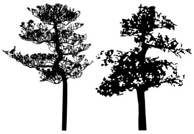  Vector silhouette of trees. Isolated eps 10.