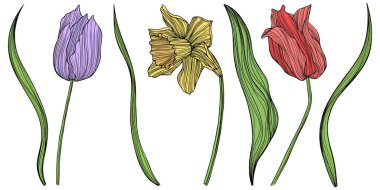 Beyaza izole edilmiş soyut çiçekler. El çizimi vektör çizimi. Eps 10