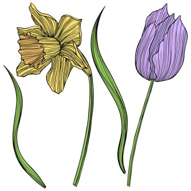 Beyaza izole edilmiş soyut çiçekler. El çizimi vektör çizimi. Eps 10