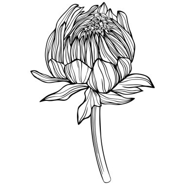Abstract flower isolated on white. Hand drawn line vector illustration. Eps 10