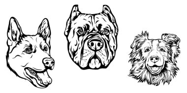 Köpeklerin el çizimi yüzü. Siyah ve beyaz vektör illüstrasyon maskot sanatı