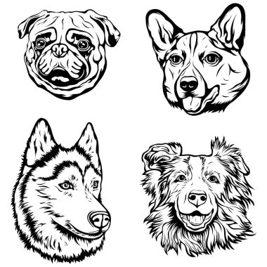 Köpeklerin el çizimi yüzü. Siyah ve beyaz vektör illüstrasyon maskot sanatı