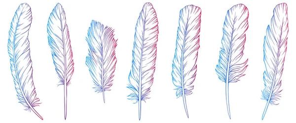 Vector Feather Collection Hand Drawn Isolated White Background Vector Set — Stock Vector